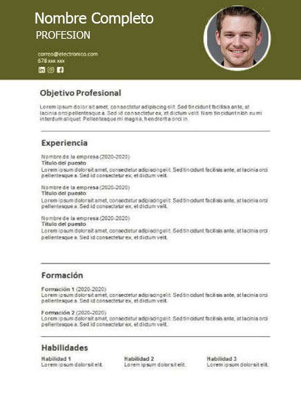 plantilla currículum ingeniero ambiental